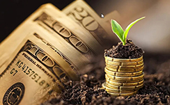 现货黄金慎涨，银行家们唱悲歌